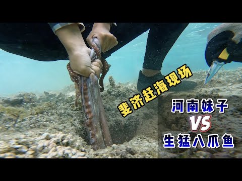 Day 12 of "Fiji": My God, the Henan girl took the thief-sized octopus with her bare hands!