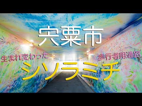 【兵庫県宍粟市】芸術作家・植田志保さんの手により、生まれ変わった美し過ぎる山﨑 IC  歩行者通路/ The Most Beautiful and Artistic Passage in Japan.