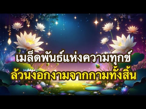 ทางอริยะEp28 เจริญมรณสัญญา | วิธีปฏิบัติเพื่อบรรลุอนาคามี ตอนที่4