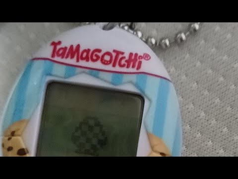 TAMAGOTCHI!!