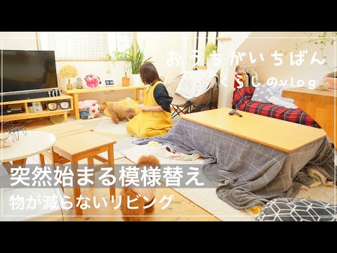 【ごちゃごちゃリビング】コストコ購入品/マイペースＢ型主婦