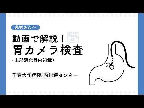 動画で解説！胃カメラ検査