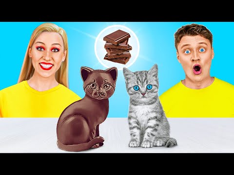 Real Food vs Chocolate Food Challenge | Eating Only Sweet 24 Hours by Rocketmons!