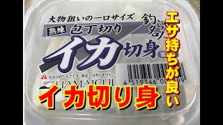 イカ切り身の針の付け方紹介　海釣り初級入門編　和歌山釣太郎