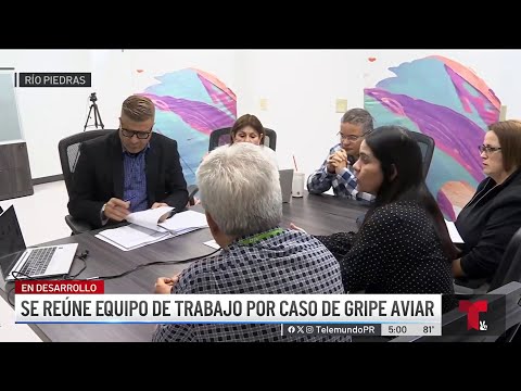 Salud crea "task force" por caso de gripe aviar en Culebra