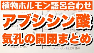 【アブシシン酸の覚え方】気孔の開閉とフォトトロピンの語呂合わせ　植物ホルモン　ゴロ生物