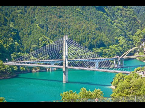 川上村北和田のフランスギクと大滝龍神湖 2024.05.17