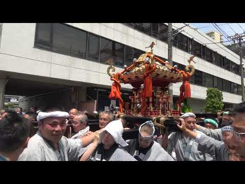 20240526石浜神社１３００年ご本社神輿渡御