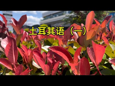 土耳其语（一）#土耳其 #土耳其语