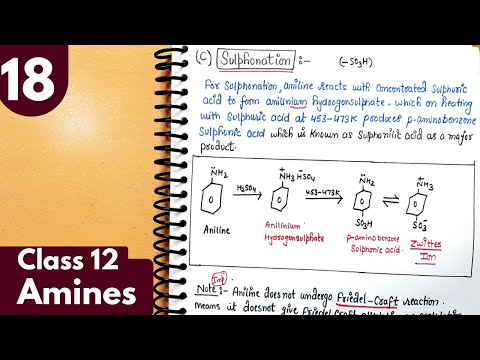 18) Sulphonation of aniline| Why aniline doesn't undergo friedel craft reactions| Amines Class12