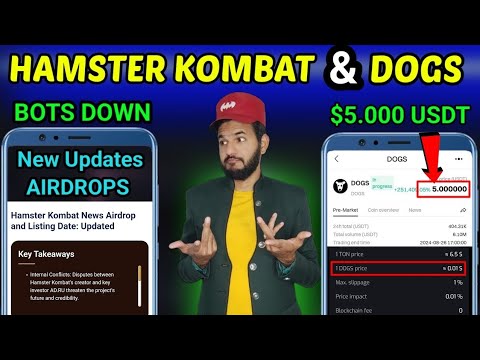 Hamster Kombat Airdrop vs Dogs Airdrop | Hamster kombat new updates investor | Dogs current value