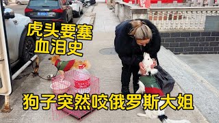 鐵牛旅行記589集/狗子看見俄羅斯人就凶，看見英雄就敬禮，難道狗子也懂歷史嗎？#狗是人类最忠诚的朋友 #環遊中國