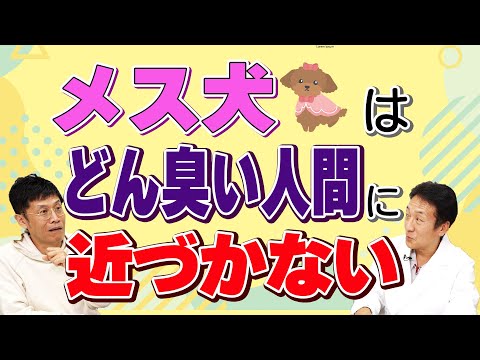 【精神科医 名越先生 出演】メス犬はどん臭い飼い主に近づかず優秀な飼い主を見極める！？【論文読んでみた】