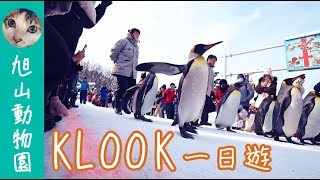 『旭山動物園+美瑛青池』KLOOK一日遊行程！夢幻的精靈森林露台【Bike SU】Ep.37