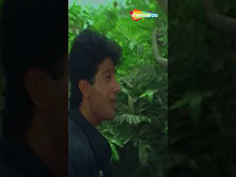 Kya Tumhe Pata Hai Ae Gulshan_Dil Hai Betaab (1999) #shorts @shemaroo.romanticsongs