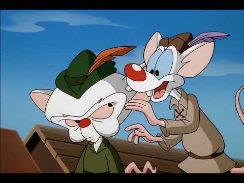 Pinky and the Brain - The Mighty Ducks