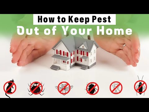 🚫 No More Unwanted Guests: How to Keep Pests Out of Your Home