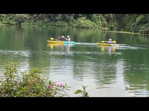 Macritchie Reservoir... serendipity awaits | Singapore         #macritchiereservoir