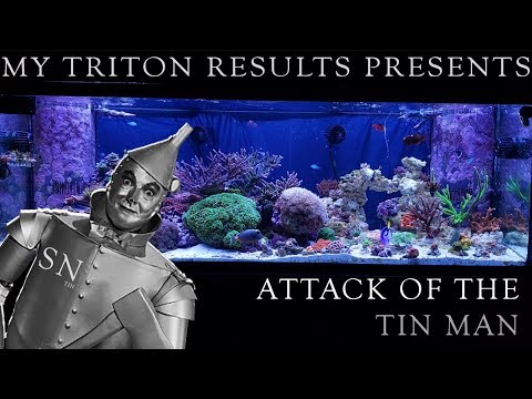 Attack of the Tin Man - How I reduced TIN in my reef tank after getting results from Triton testing.