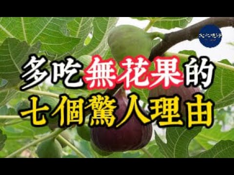 【健康】多吃無花果的七個驚人理由【文化視野】