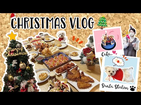 Christmas vlog in Japan🎄🇯🇵