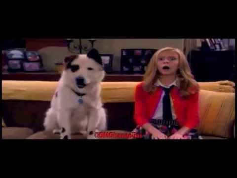 Super Size Night of Dog With A Blog Promo - G Hannelius