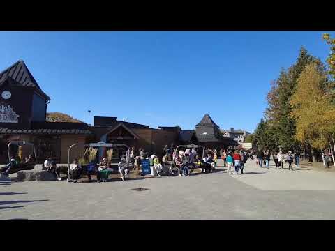 Blue Mountain Village #blue #mountain  #fall #foliage #autumn #fallcolours