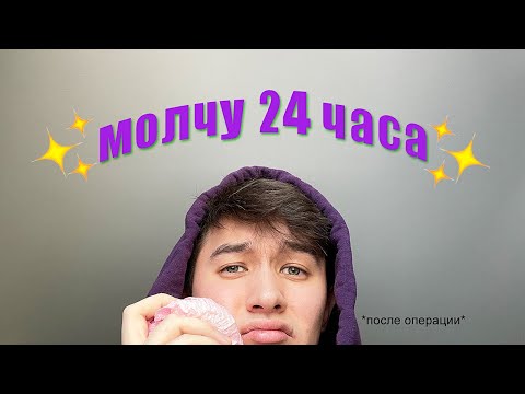 МОЛЧУ 24 ЧАСА