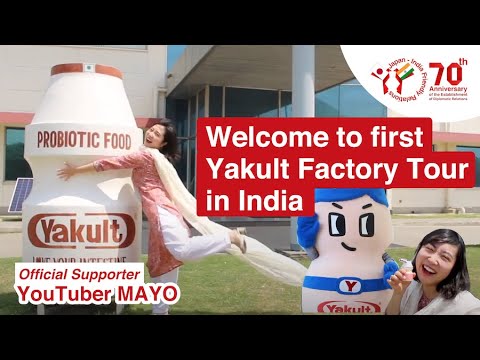 Have you ever known that Yakult is beneficial for improving the immune system?