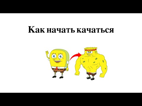 Что нужно знать перед тем как пойти в качалку?