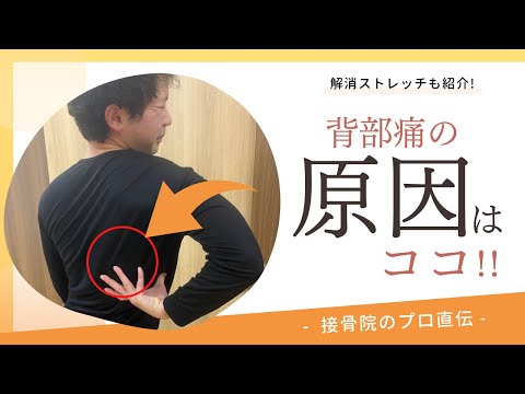 【背中の痛み〜背部痛〜】朝、起きたとき背中が痛い、運動するとピキッと痛みが走るときのストレッチ！｜接骨院のプロが教えるお家セルフケア｜テラピスト接骨院