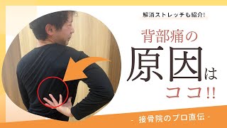 【背中の痛み〜背部痛〜】朝、起きたとき背中が痛い、運動するとピキッと痛みが走るときのストレッチ！｜接骨院のプロが教えるお家セルフケア｜テラピスト接骨院