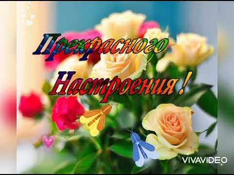 Утра Доброго! 🌞🌺/Дня чудесного! 🌺🌺🌺