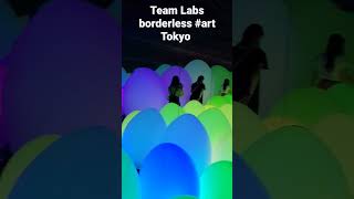 Team Labs borderless Tokyo #tokyoart #tokyo2023