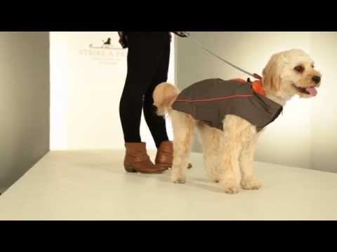 Strike-A-Paws 2014 - Repelz-It Nano Trailblazer Coat Grey