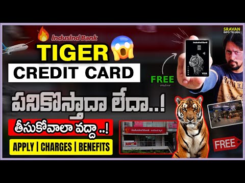 🔥 Indusind Tiger Credit card telugu | Lifetime Free Credit Card | Tiger Credit Card | IndusInd bank