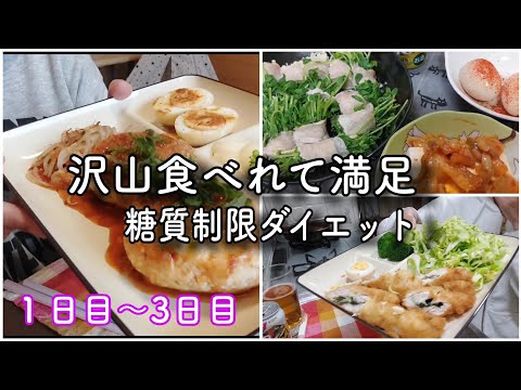 【ダイエットvol.1】糖質制限中でも美味しく晩酌1日目～3日目