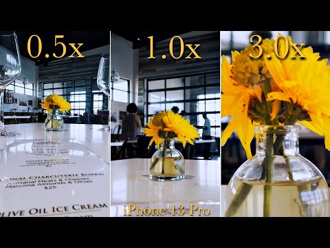 iPhone 13 Pro Camera Lens Comparison (Ultrawide vs Wide vs Telephoto)