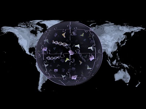 Kate Adamala (U of M) 2: Synthetic Cells: Building Life to Understand It