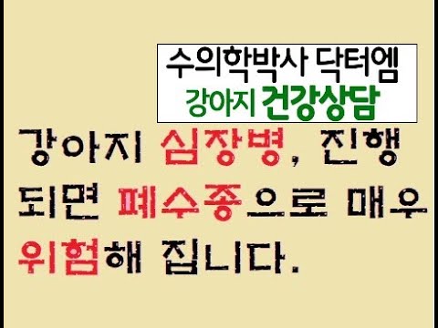 강아지 심장병이 발전한 폐수종 어떻게 대처해야 하나요?