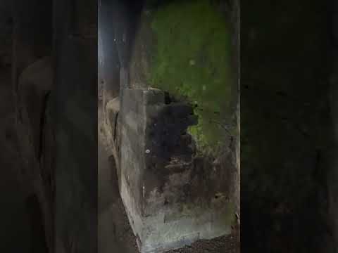 バリ島・謎多き洞窟の中 -Inside of the cave in Goa Gaja, Bali