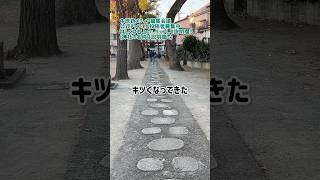 中原区で初詣と言えば「ケンケンパ神社」です。持久力必須？