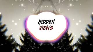 Hidden Views - Is Anybody There?