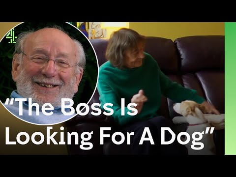 85 year old Pim's mission: to find a dog to keep his wife company after he's gone | The Dog House 🐶