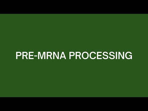 Pre-mRNA Processing