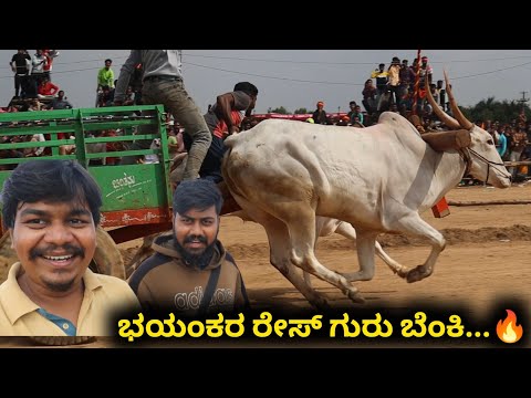 ಹಳ್ಳಿಕಾರ್ ಎತ್ತಿನ ಗಾಡಿ ರೇಸ್ ಬೆಂಕಿ ಗುರು...🔥🔥 | Bengaluru Hallikar Race 2022 | Likhith Shetty Vlogs