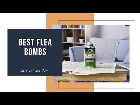 10  Best Flea Bombs You can Buy Right Now | The Guardians Choice