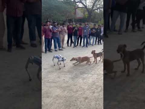 "Awesome Playtime: || Robo-Pup Edition 🤖🐶" || IIT Hyderabad || robotics student's #ai #btechprojects