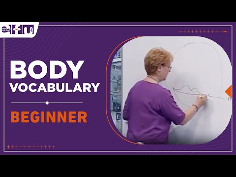 Let's Start English 85 - Lesson 14 / Body Vocabulary