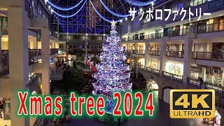 サッポロファクトリー　🎄🎅ジャンボクリスマスツリー 2024　光のショータイム　Sapporo Factory Xmas 2024